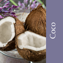 Load image into Gallery viewer, JANILION - Ceras de Quemador
