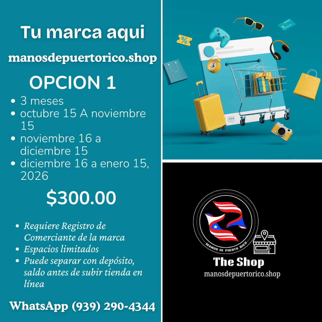 MANOS - Online Shop 3 meses
